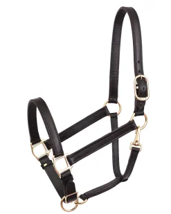PERRIS LEATHER Halters|Perri’s® Leather Turnout Draft Halter