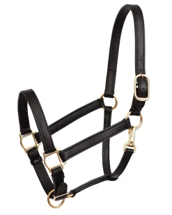 PERRIS LEATHER Halters|Perri’s® Leather Turnout Halter