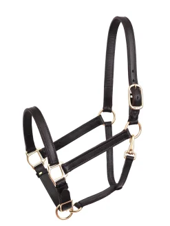 PERRIS LEATHER Halters|Perri’s® Leather Turnout Halter