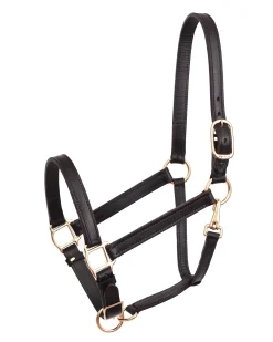 PERRIS LEATHER Halters|Perri’s® Leather Turnout Yearling Halter