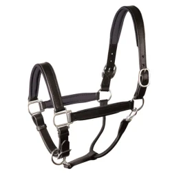 PERRIS LEATHER Trailering|Halter Accessories|Perri’s® Padded Leather Halter Crownpiece