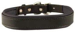 PERRIS LEATHER Collars & Leashes|Perri’s® Padded Leather Nameplate Dog Collar