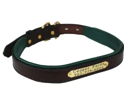 PERRIS LEATHER Collars & Leashes|Perri’s® Padded Leather Nameplate Dog Collar