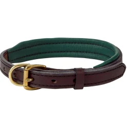 PERRIS LEATHER Collars & Leashes|Perri’s® Padded Leather Nameplate Dog Collar