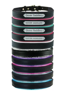 PERRIS LEATHER Collars & Leashes|Perri’s® Padded Leather Nameplate Dog Collar