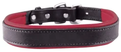 PERRIS LEATHER Collars & Leashes|Perri’s® Padded Leather Nameplate Dog Collar