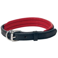 PERRIS LEATHER Collars & Leashes|Perri’s® Padded Leather Nameplate Dog Collar