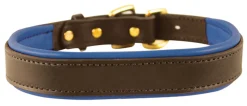 PERRIS LEATHER Collars & Leashes|Perri’s® Padded Leather Nameplate Dog Collar