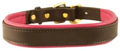 PERRIS LEATHER Collars & Leashes|Perri’s® Padded Leather Nameplate Dog Collar