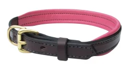 PERRIS LEATHER Collars & Leashes|Perri’s® Padded Leather Nameplate Dog Collar