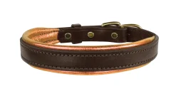 PERRIS LEATHER Collars & Leashes|Perri’s® Padded Leather Nameplate Dog Collar
