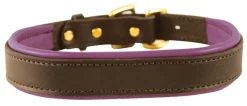 PERRIS LEATHER Collars & Leashes|Perri’s® Padded Leather Nameplate Dog Collar