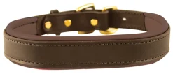 PERRIS LEATHER Collars & Leashes|Perri’s® Padded Leather Nameplate Dog Collar