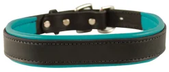 PERRIS LEATHER Collars & Leashes|Perri’s® Padded Leather Nameplate Dog Collar