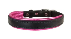 PERRIS LEATHER Collars & Leashes|Perri’s® Padded Leather Nameplate Dog Collar