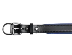 PERRIS LEATHER Collars & Leashes|Perri’s® Padded Leather Nameplate Dog Collar
