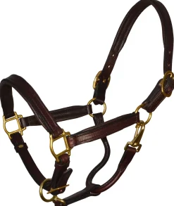 PERRIS LEATHER Halters|Perri’s® Padded Leather Pony Halter