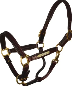 PERRIS LEATHER Halters|Perri’s® Padded Leather Pony Halter with Nameplate