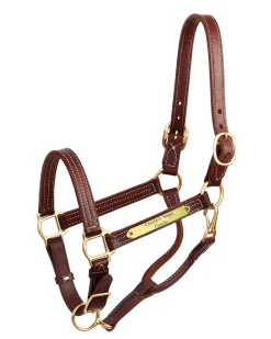 PERRIS LEATHER Halters|Perri’s® Premium 1" Leather Show Halter with Nameplate