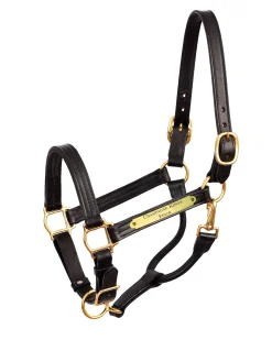 PERRIS LEATHER Halters|Perri’s® Premium 1" Leather Show Halter with Nameplate