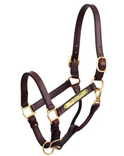 PERRIS LEATHER Halters|Perri’s® Premium 1