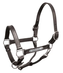 PERRIS LEATHER Halters|Perri’s® Premium 1