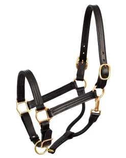 PERRIS LEATHER Halters|Perri’s® Premium Leather XL Show Halter