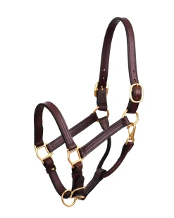 PERRIS LEATHER Halters|Perri’s® Premium Leather XL Show Halter