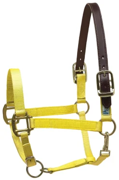 PERRIS LEATHER Halters|Perri’s® Premium Nylon Breakaway Halter