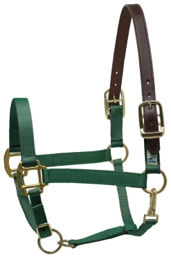 PERRIS LEATHER Halters|Perri’s® Premium Nylon Breakaway Halter