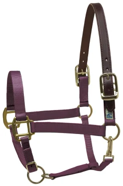 PERRIS LEATHER Halters|Perri’s® Premium Nylon Breakaway Halter