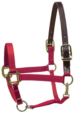 PERRIS LEATHER Halters|Perri’s® Premium Nylon Breakaway Halter