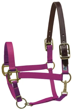 PERRIS LEATHER Halters|Perri’s® Premium Nylon Breakaway Halter