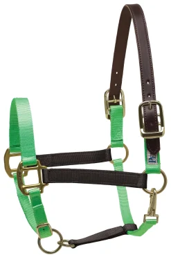 PERRIS LEATHER Halters|Perri’s® Premium Nylon Breakaway Halter