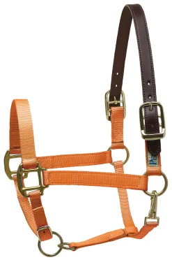 PERRIS LEATHER Halters|Perri’s® Premium Nylon Breakaway Halter