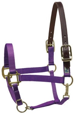 PERRIS LEATHER Halters|Perri’s® Premium Nylon Breakaway Halter