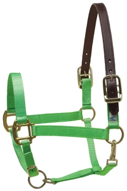 PERRIS LEATHER Halters|Perri’s® Premium Nylon Breakaway Halter