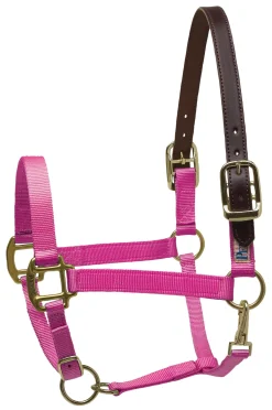 PERRIS LEATHER Halters|Perri’s® Premium Nylon Breakaway Halter