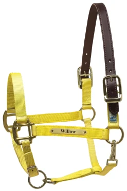 PERRIS LEATHER Halters|Perri’s® Premium Nylon Safety Halter with Nameplate