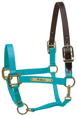 PERRIS LEATHER Halters|Perri’s® Premium Nylon Safety Halter with Nameplate