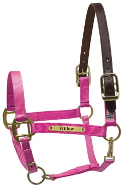 PERRIS LEATHER Halters|Perri’s® Premium Nylon Safety Halter with Nameplate