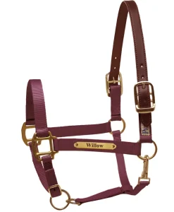 PERRIS LEATHER Halters|Perri’s® Premium Nylon Safety Halter with Nameplate