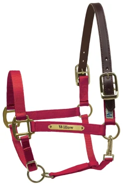 PERRIS LEATHER Halters|Perri’s® Premium Nylon Safety Halter with Nameplate