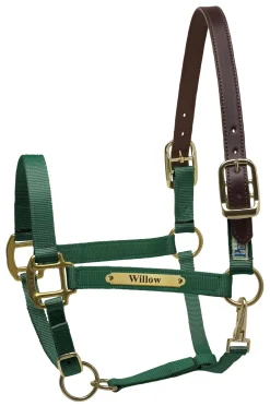 PERRIS LEATHER Halters|Perri’s® Premium Nylon Safety Halter with Nameplate