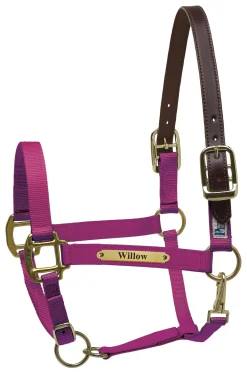 PERRIS LEATHER Halters|Perri’s® Premium Nylon Safety Halter with Nameplate