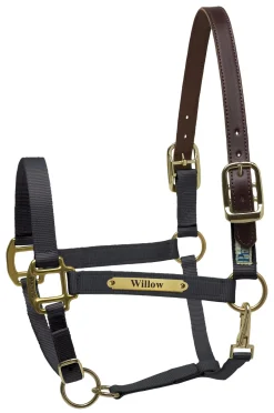 PERRIS LEATHER Halters|Perri’s® Premium Nylon Safety Halter with Nameplate