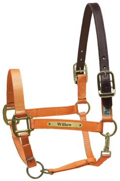 PERRIS LEATHER Halters|Perri’s® Premium Nylon Safety Halter with Nameplate