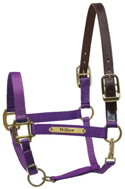 PERRIS LEATHER Halters|Perri’s® Premium Nylon Safety Halter with Nameplate