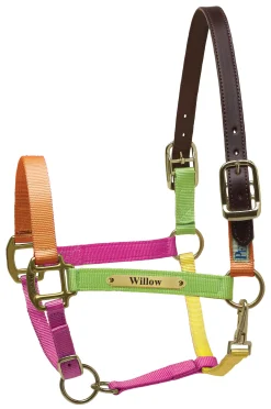 PERRIS LEATHER Halters|Perri’s® Premium Nylon Safety Halter with Nameplate