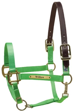 PERRIS LEATHER Halters|Perri’s® Premium Nylon Safety Halter with Nameplate